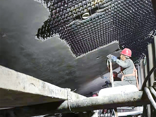 焦作垃圾焚燒爐項目